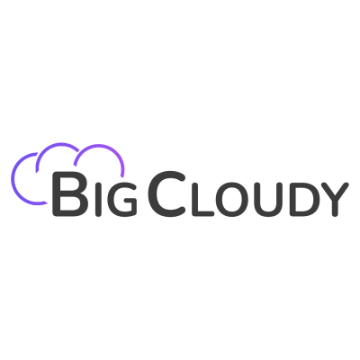 BigCloudy Internt Services Pvt. Ltd logo