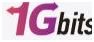 1Gbits logo