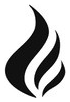 FireVM.com logo