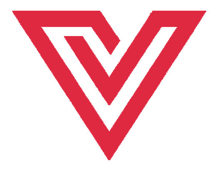 VIKHOST logo
