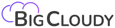 BigCloudy Internt Services Pvt. Ltd logo